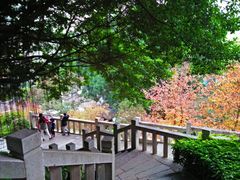 -乌山风景区