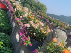 -蒋氏故居