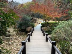 -桃花岭景区