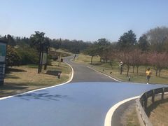 -宜兴龙背山森林公园