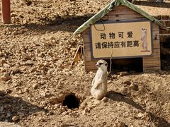 -无锡动物园·太湖欢乐园