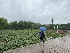 -白马涧龙池景区