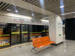 -杨高南路(地铁站)