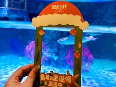 -沈阳海洋探索中心