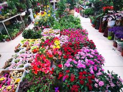 -双季花艺园艺市场(浦东店)