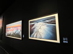 -罗红摄影艺术馆