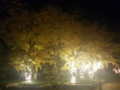 -苏州东山雕花楼宾馆