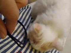 -平行世界·猫咖(首经贸店)
