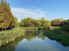 -尚贤河湿地