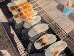 -吴淞炮台湾湿地森林公园烧烤区