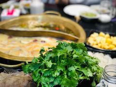 -京门活鱼馆·鱼火锅(百子湾（原红庙）店)