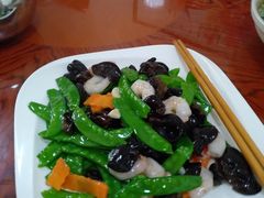 -鸿运美食府