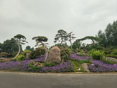 -罗红摄影艺术馆