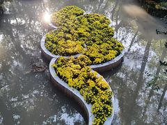 -汇龙潭