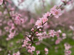 -贵阳市花溪国家城市湿地公园