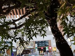 -日丰园海肠水饺·老字号大连海鲜(和平广场店)