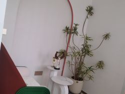 点击看大图 -WENDY·温迪皮肤管理