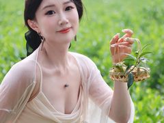 -帐篷客·溪龙茶谷度假酒店