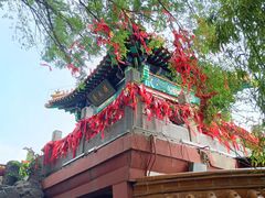 -戏马台景区