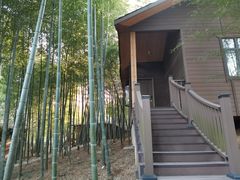 -仙山湖景区