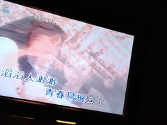 -宝岛甲壳虫KTV(蓝天路店)