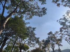 -白石龙音乐公园