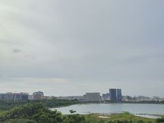 -立新湖公园