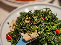 -羊瑞堂·横山炖羊肉·陕菜(未央路旗舰店)