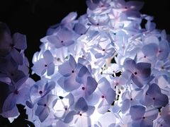 -常州古运河南大街文化旅游区-人民公园