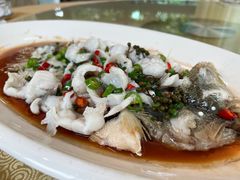 -老乡村美食农庄