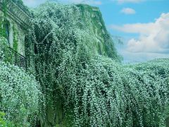 -府河摄影公园