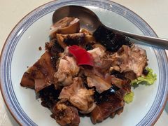 -海派美食·家宴海鲜青岛菜·石锅鲽鱼头(东方城店)