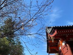 -浅草寺