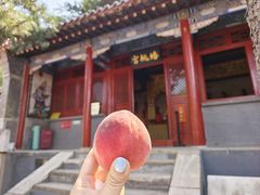 -圣莲山风景区