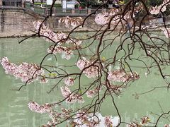 -红星桥(地铁站)