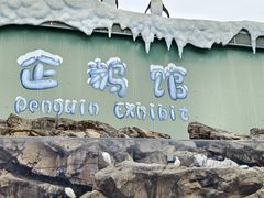 -珠海长隆海洋王国