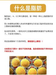 -Fundi张玉珊修身堂·indiba·BTL科技瘦身