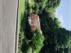 -东莞植物园