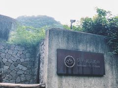 -看见远方·莫干遥远的山民宿