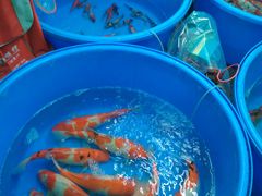 -华声天桥民俗文化园