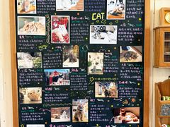 -小时光咖啡馆(开森度假森林店)