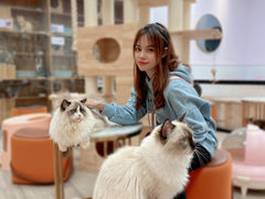 -猪盟咖啡店(玖洲道店)