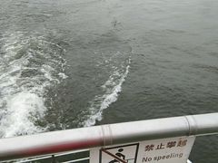 -千岛湖城中湖游船码头