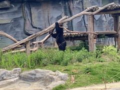 -武汉动物园