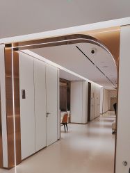 -深圳美莱医疗美容医院