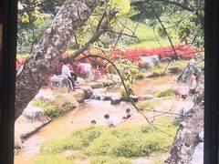 -黄埔油麻山森林公园