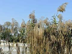 -葛仙湖公园