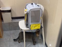 -安安宠医·臻爱宠物医院·宠保定点(营门口路分院)