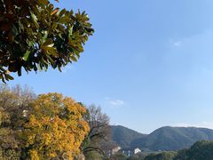 -溪口-滕头旅游景区