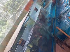 -聚福生态农庄